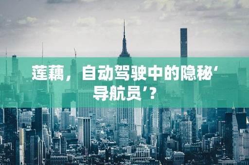 莲藕，自动驾驶中的隐秘‘导航员’？