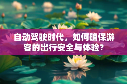 自动驾驶时代，如何确保游客的出行安全与体验？