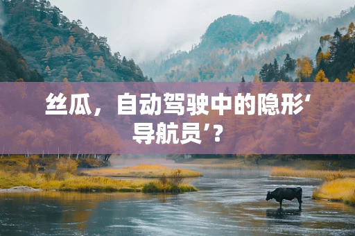 丝瓜，自动驾驶中的隐形‘导航员’？