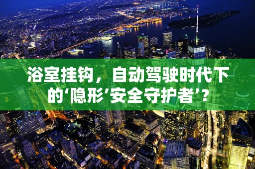 浴室挂钩，自动驾驶时代下的‘隐形’安全守护者’？