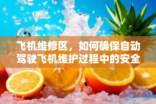 飞机维修区，如何确保自动驾驶飞机维护过程中的安全与效率？