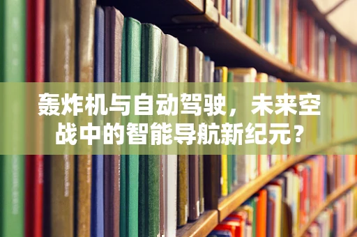 轰炸机与自动驾驶，未来空战中的智能导航新纪元？