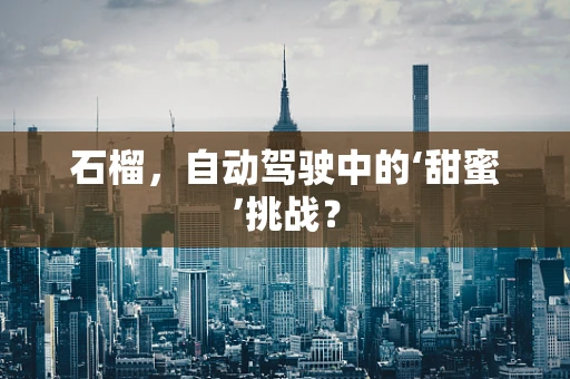 石榴，自动驾驶中的‘甜蜜’挑战？