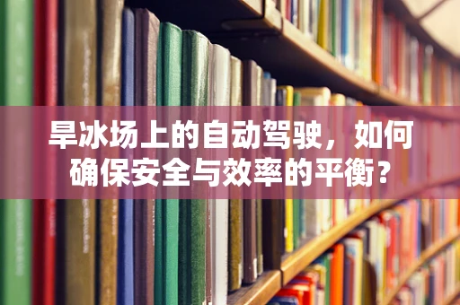 旱冰场上的自动驾驶，如何确保安全与效率的平衡？