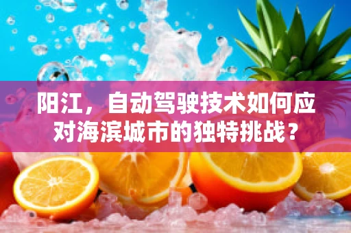 阳江，自动驾驶技术如何应对海滨城市的独特挑战？