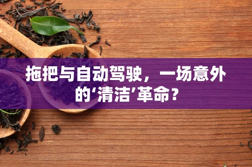 拖把与自动驾驶，一场意外的‘清洁’革命？