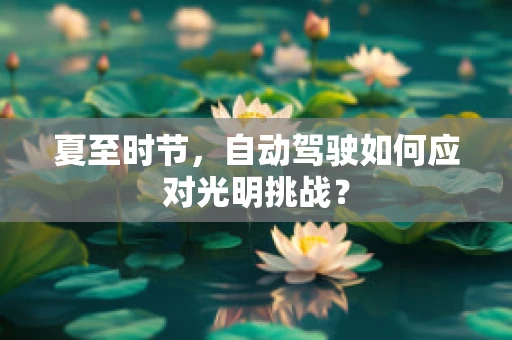 夏至时节，自动驾驶如何应对光明挑战？