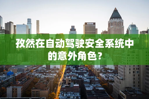 孜然在自动驾驶安全系统中的意外角色？