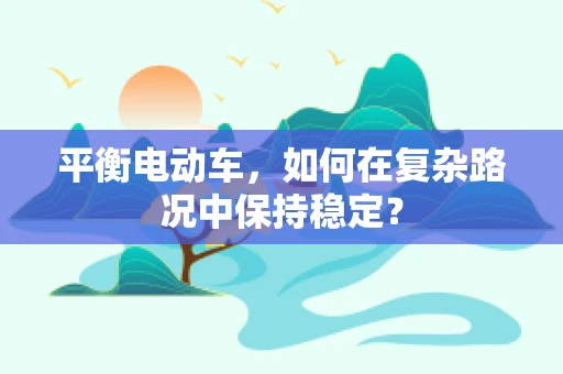 平衡电动车，如何在复杂路况中保持稳定？