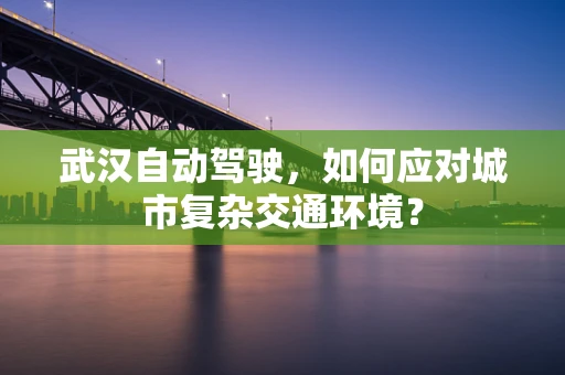 武汉自动驾驶，如何应对城市复杂交通环境？