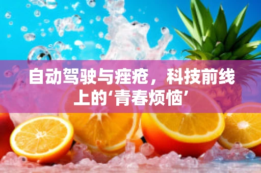 自动驾驶与痤疮，科技前线上的‘青春烦恼’