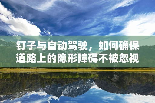 钉子与自动驾驶，如何确保道路上的隐形障碍不被忽视？