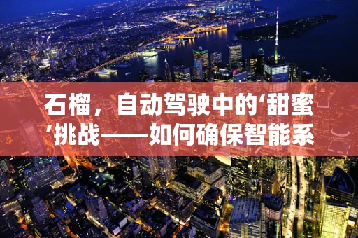 石榴，自动驾驶中的‘甜蜜’挑战——如何确保智能系统在复杂环境下的‘味觉’判断？