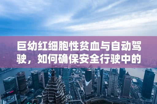 巨幼红细胞性贫血与自动驾驶，如何确保安全行驶中的营养补给？