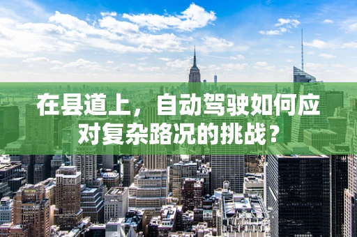 在县道上，自动驾驶如何应对复杂路况的挑战？