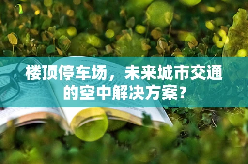 楼顶停车场，未来城市交通的空中解决方案？