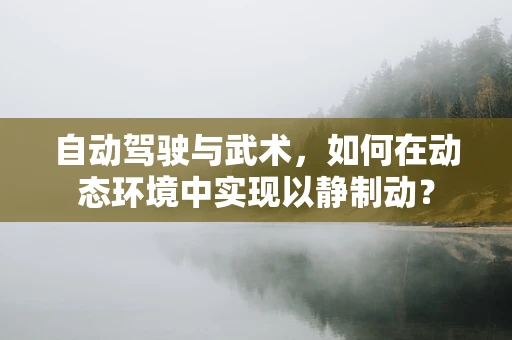 自动驾驶与武术，如何在动态环境中实现以静制动？