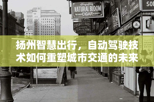 扬州智慧出行，自动驾驶技术如何重塑城市交通的未来？