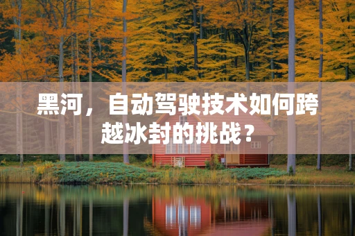 黑河，自动驾驶技术如何跨越冰封的挑战？