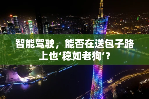 智能驾驶，能否在送包子路上也‘稳如老狗’？