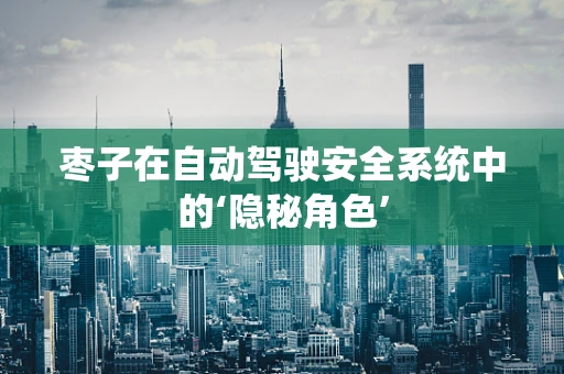 枣子在自动驾驶安全系统中的‘隐秘角色’