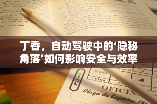 丁香，自动驾驶中的‘隐秘角落’如何影响安全与效率？