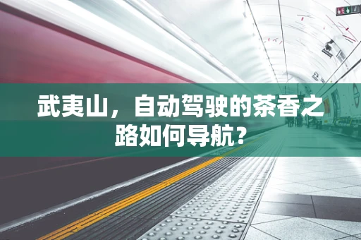 武夷山，自动驾驶的茶香之路如何导航？