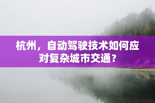 杭州，自动驾驶技术如何应对复杂城市交通？