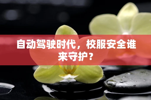 自动驾驶时代，校服安全谁来守护？