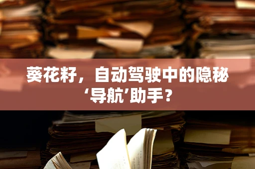 葵花籽，自动驾驶中的隐秘‘导航’助手？