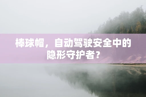 棒球帽，自动驾驶安全中的隐形守护者？