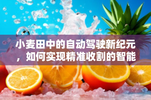 小麦田中的自动驾驶新纪元，如何实现精准收割的智能导航？