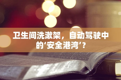 卫生间洗漱架，自动驾驶中的‘安全港湾’？