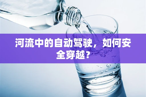 河流中的自动驾驶，如何安全穿越？